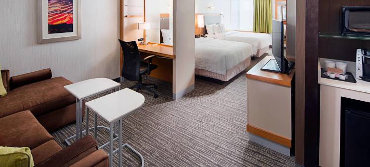 卡尔珀雷斯花园城市万豪SpringHill Suites酒店(SpringHill Suites Carle Place Garden City)图片