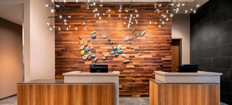 亚特兰大维宁斯广场万豪万怡酒店(Courtyard Atlanta Vinings/Galleria)图片