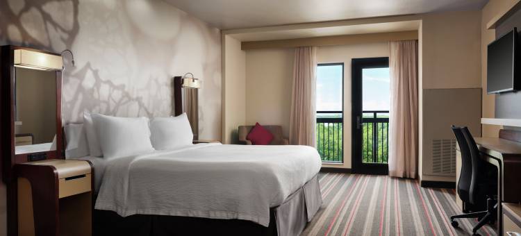 达拉斯沃斯堡国际机场北葡萄藤万怡酒店(Courtyard Dallas DFW Airport North/Grapevine)图片