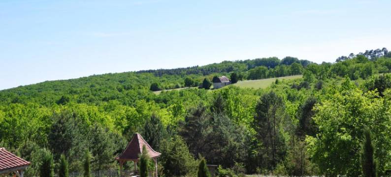 雄狮酒店(Le Lion d'Or en Perigord)图片