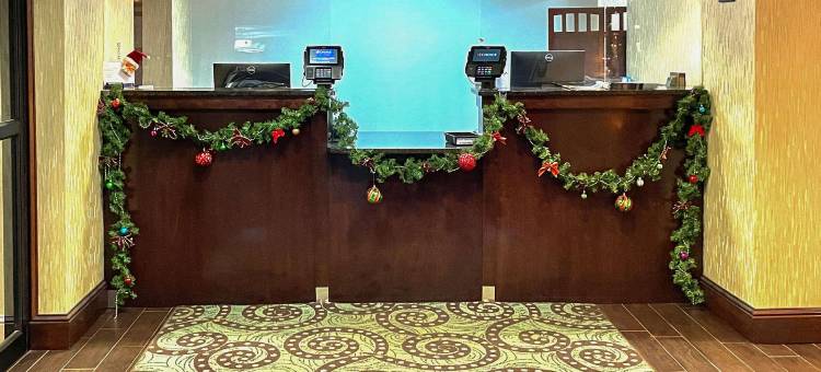 舒适酒店(Comfort Inn)图片