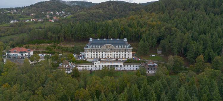 哈斯拉克庄园，凯悦臻选，旅游公寓(Domaine de Haslach, The Originals Collection, Résidence de Tourisme)图片