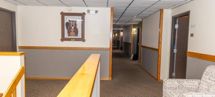 摇滚客栈(Rocker Inn)图片