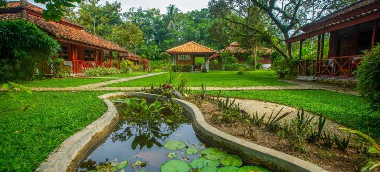 萨特沃大象生态酒店(Satwa Elephant Eco Lodge)图片
