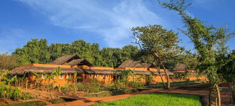 锡吉里亚阿育吠陀养生居 · 黛玛系列(Ayurvie Sigiriya - Ayurvedic Retreat by Thema Collection)图片