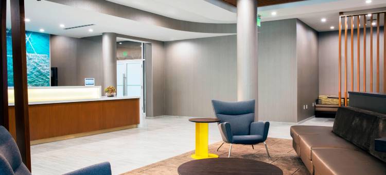 迈阿密多拉SpringHill Suites酒店(SpringHill Suites Miami Doral)图片