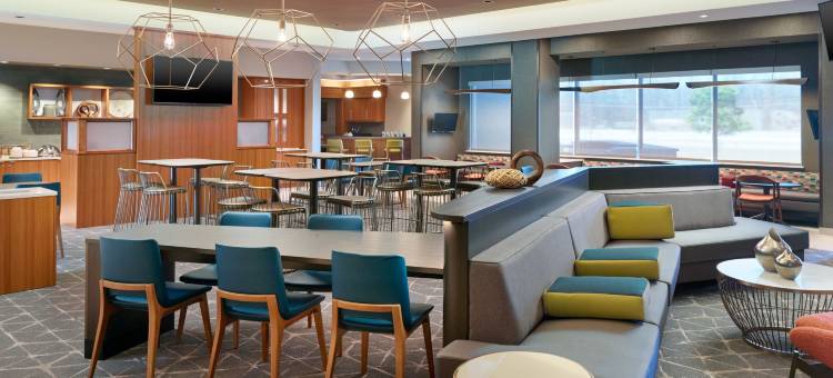 万豪春丘田纳西阿灵顿酒店(SpringHill Suites Arlington TN)图片