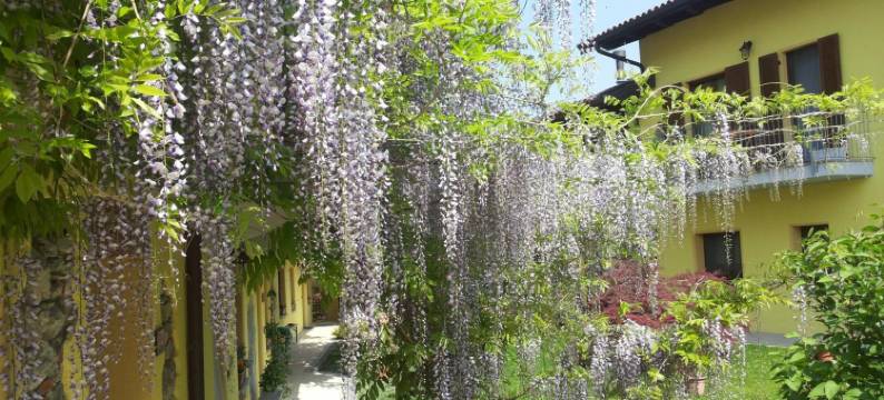 特拉塞拉湖农庄酒店(Agriturismo Tra Serra E Lago)图片