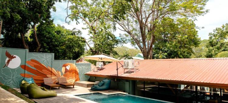 Socialtel 圣塔特雷莎(Socialtel Santa Teresa)图片