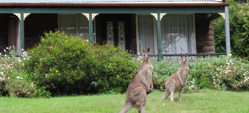雪松山林小屋(Cedar Lodge Cabins)图片