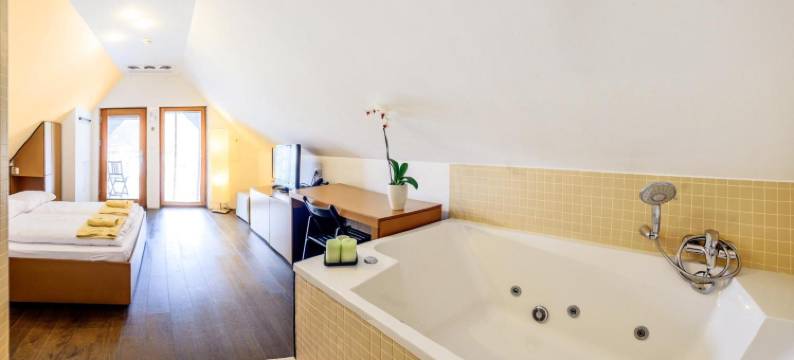 三杰 OB 索兹酒店(Hotel Sanje ob Soči /)图片