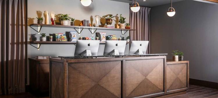 芝加哥霍克斯顿酒店(The Hoxton, Chicago)图片