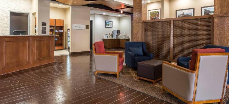 舒适套房酒店-大学(Comfort Suites - University)图片