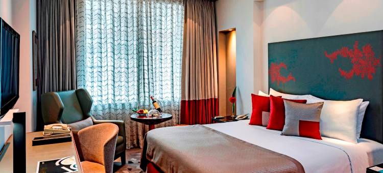 加尔各答公园酒店(The Park Kolkata)图片