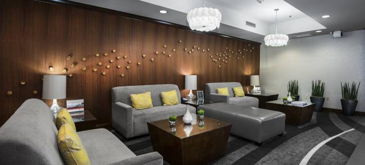 智选假日套房酒店江伟(Holiday Inn Express & Suites Conway)图片