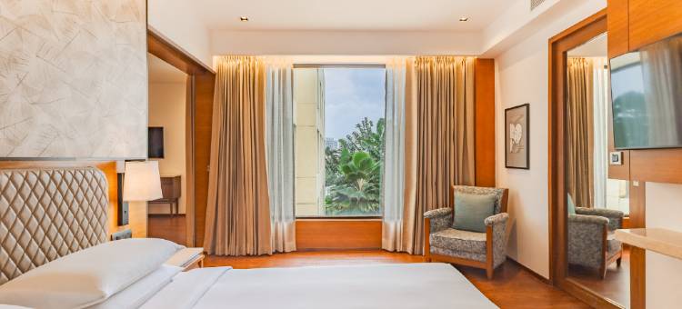 浦那Hyatt酒店(Hyatt Pune)图片