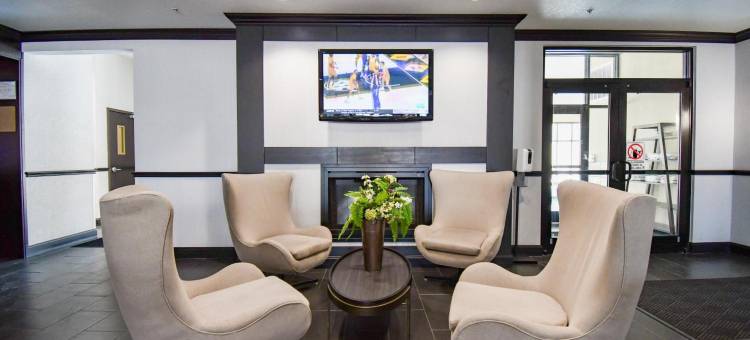 Holiday Inn 圣安东尼奥N - 山国(Holiday Inn SAN ANTONIO N - STONE OAK AREA by IHG)图片