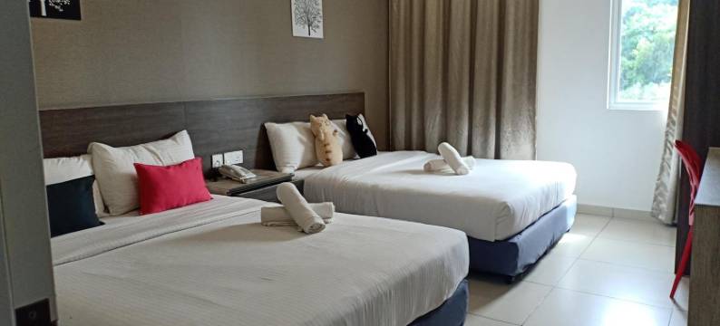 阿尔法酒店(Hotel Alpha)图片