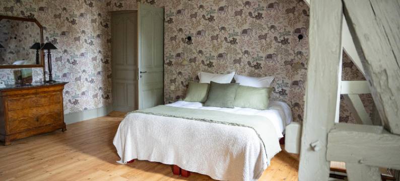 吕萨克城堡民宿(Chambre d'hôtes Château de Lussac)图片