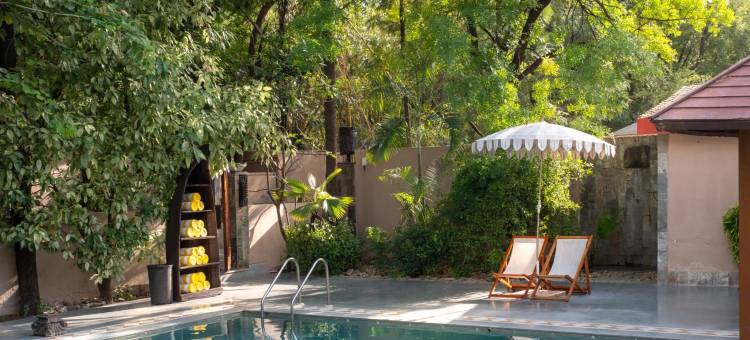 树屋度假村(The Tree House Resort, Jaipur- A Club Mahindra Associate)图片