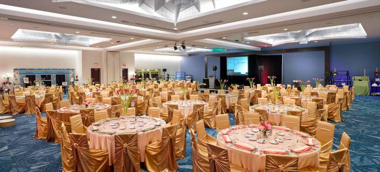 埃德蒙顿机场万丽酒店(Renaissance Edmonton Airport Hotel)图片