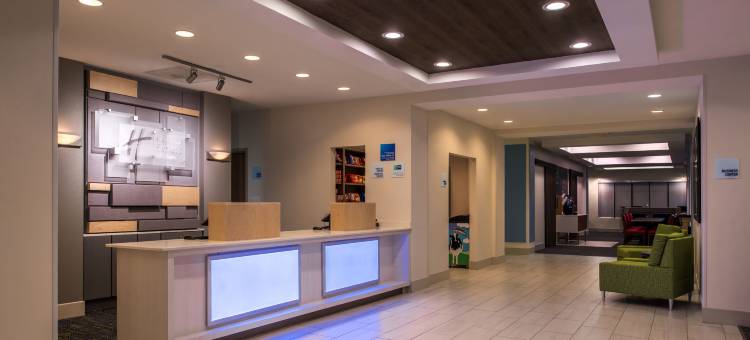 洲际智选假日酒店及套房坦帕-安德森路/退伍军人(Holiday Inn Express & Suites Tampa-Anderson RD/Veterans Exp)图片