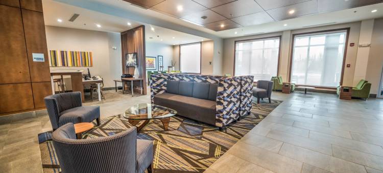 智选假日套房酒店-埃德蒙顿西购物区(Holiday Inn Express & Suites West Edmonton-Mall Area)图片