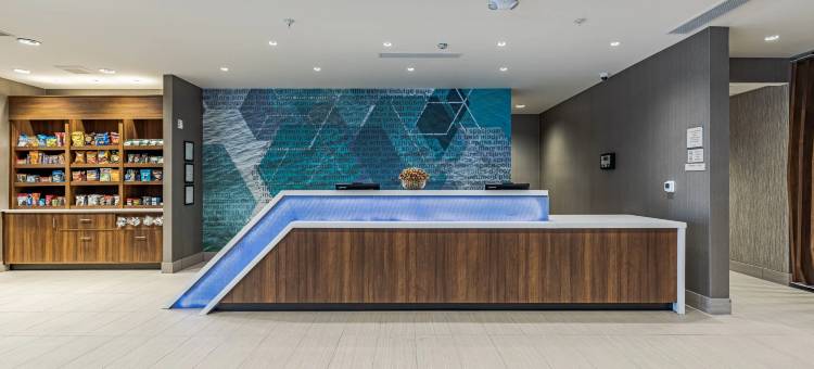 底特律斯特林海茨万豪SpringHill酒店(SpringHill Suites by Marriott Detroit Sterling Heights)图片