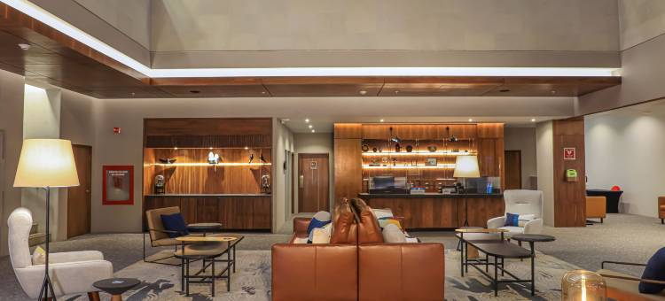 墨西哥城罗马科洛尼亚福朋喜来登酒店(Four Points by Sheraton Mexico City, Colonia Roma)图片