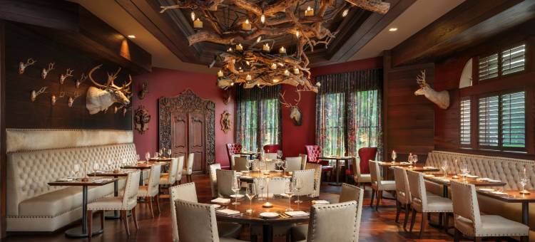 Grand Bohemian Lodge Asheville, Autograph Collection图片