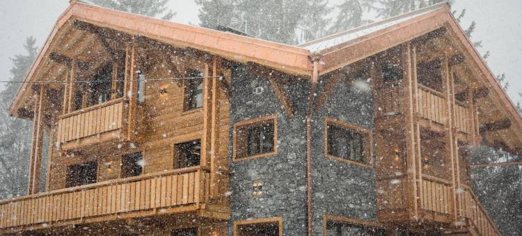 莫尔济讷山上小屋酒店(Chalet Sur les Monts Morzine)图片