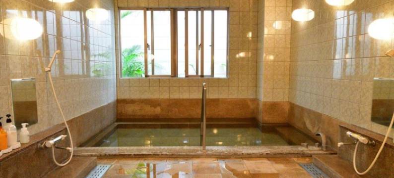 拉库辛酒店(Rakuchin)图片