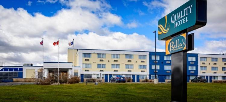 凯艺酒店(Quality Hotel)图片