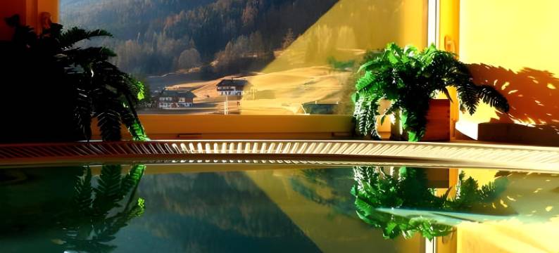 欧派斯酒店(Hotel des Alpes)图片