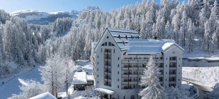 施维策霍夫西尔斯玛丽亚酒店，Faern精选酒店(Hotel Schweizerhof, Sils Maria, a Faern Collection Hotel)图片