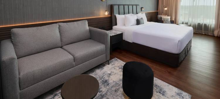 Crowne Plaza 比亚埃尔莫萨(Crowne Plaza VILLAHERMOSA by IHG)图片