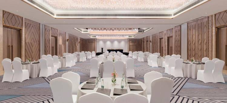 IHG 皇冠假日酒店勒克瑙(Crowne Plaza LUCKNOW by IHG)图片
