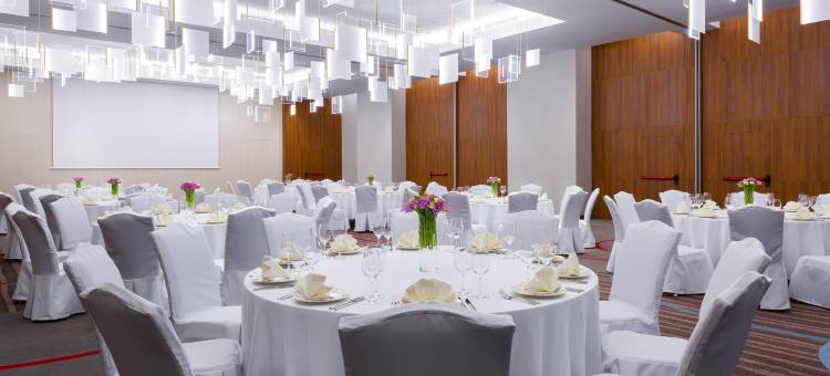 克拉斯诺达尔喜来登福朋酒店(RedPoint Hotel)图片