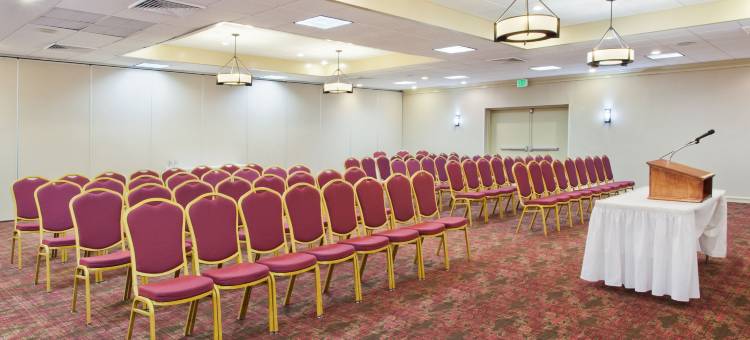 什里夫波特中心假日酒店(Holiday Inn Shreveport Downtown)图片