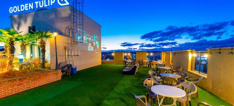 金色郁金香酒店精致南江-韩国品质(Jinju Golden Tulip Hotel Namgang)图片