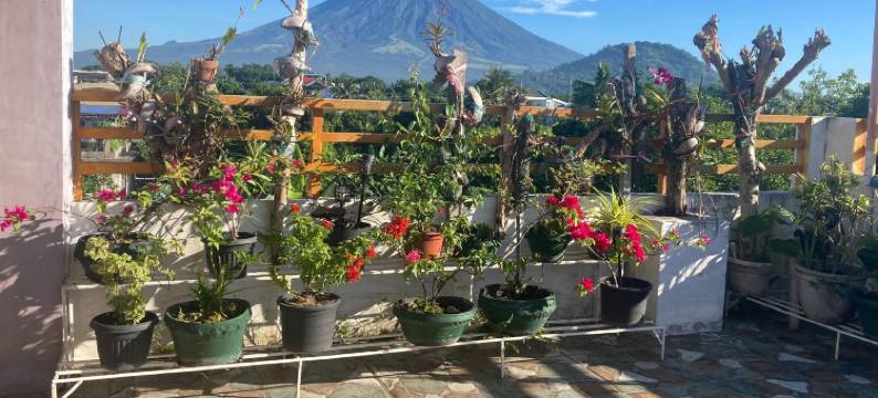 Anne’s  Ville 3 with Fiber Internet and Parking图片