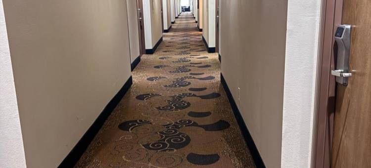 里士满温德姆呗盟酒店(Baymont Inn & Suites by Wyndham Richmond)图片