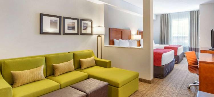 舒适套房酒店(Comfort Inn & Suites)图片