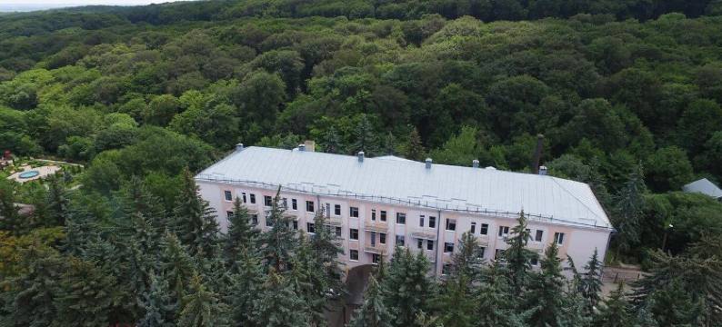 泽姆除兹纳加夫加萨酒店(Zhemchuzhina Kavkaza)图片