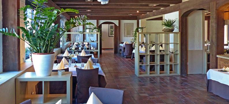 度尼奇施韦泽胡斯利酒店(Hotel-Restaurant Schwyzerhüsli)图片