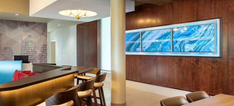 费城机场／雷德利帕克万豪SpringHill酒店(SpringHill Suites Philadelphia Airport/Ridley Park)图片