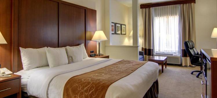 卡明舒适套房酒店 - 亚特兰大近福赛思北区医院(Comfort Suites Cumming-Atlanta Near Northside Hospital Forsyth)图片