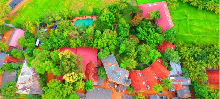 佩尔韦赫拉田园度假村(Pelwehera Village Resort)图片
