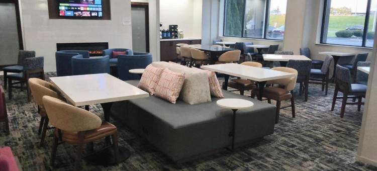 纽黑文拉昆塔温德姆套房酒店(La Quinta Inn & Suites by Wyndham New Haven)图片