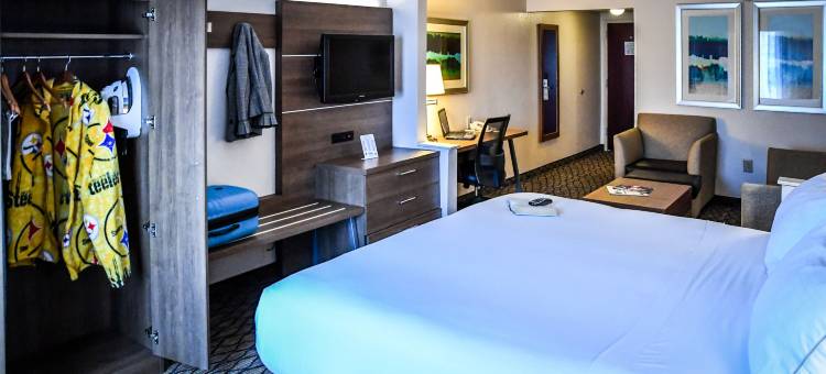 智选假日套房酒店鸿(Holiday Inn Express & Suites Concord)图片